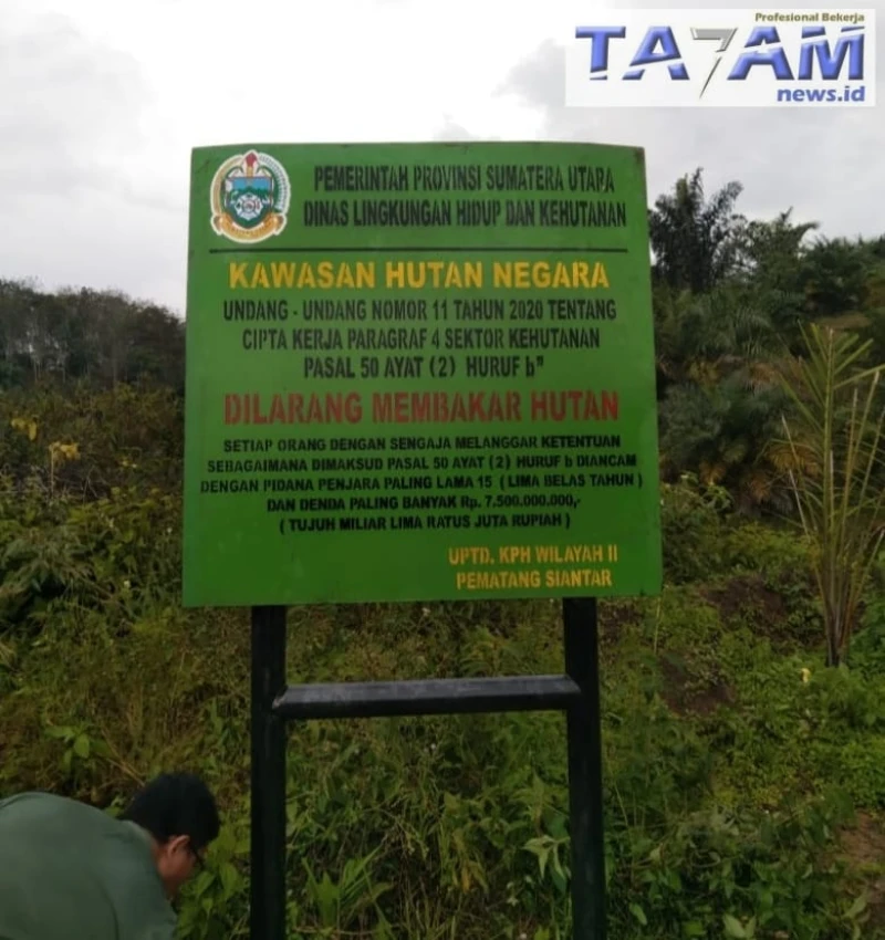 CV. Jaya Anugrah Diduga Kuasai Lahan HPT Tanpa Izin Resmi DLHK, DPRD Simalungun Diminta Segera Bentuk Pansus. - www.tajamnews.co.id