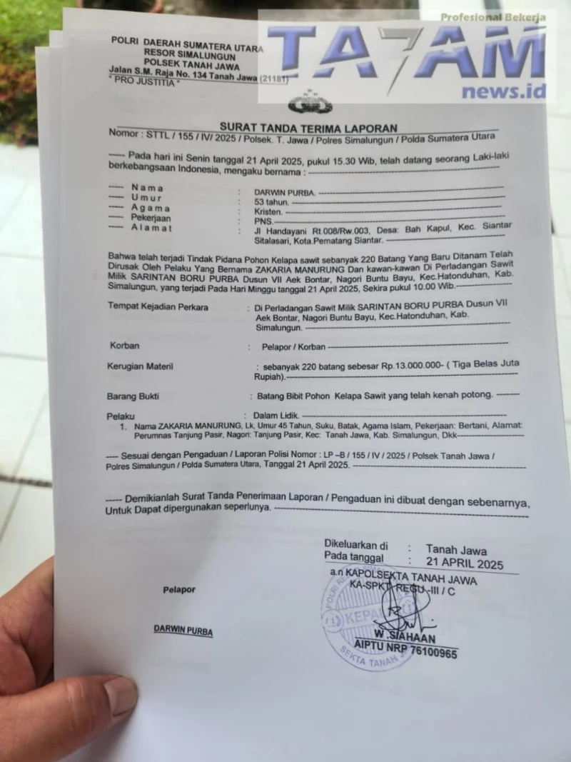 Rusak Tanaman Sarintan Purba Di Aek Bontar, Zakaria Manurung Dipolisikan. - www.tajamnews.co.id