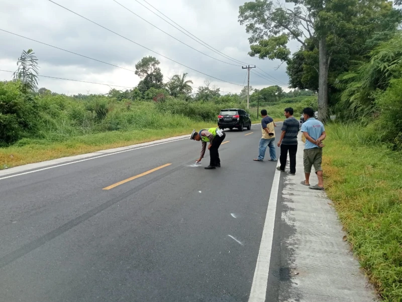 Sat Lantas Polres Simalungun Olah TKP Pengendara Motor Alami Kecelakaan Akibat Manuver Mendahului, di Jalan Siantar-Parapat - TajamNews