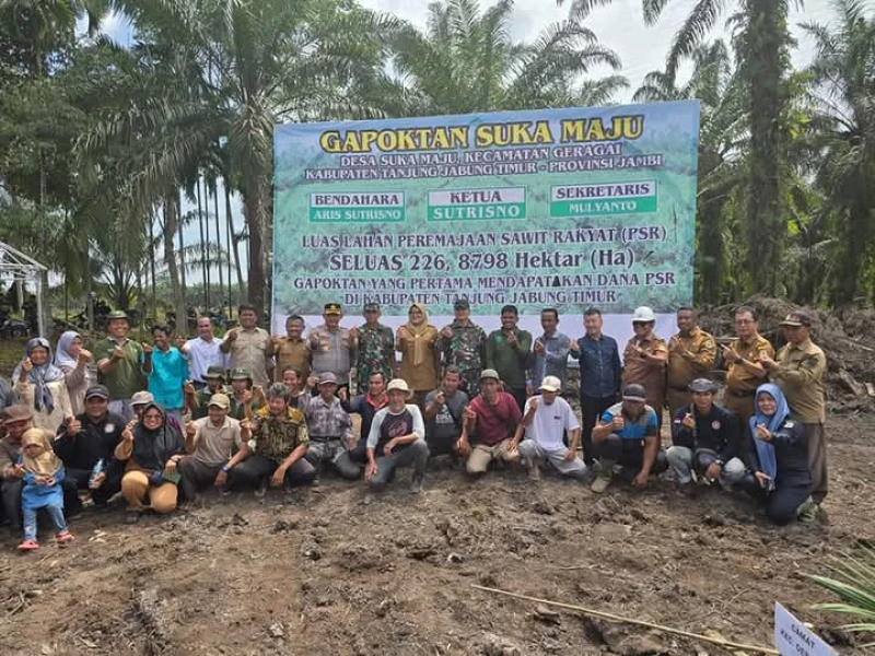 Panglima Kogabwilhan I Didampingi Bupati Melakukan Peremajaan Lahan Sawit Bersama Kelompok Tani Suka Maju dan Tanjung Jabung, Jambi - www.tajamnews.co.id