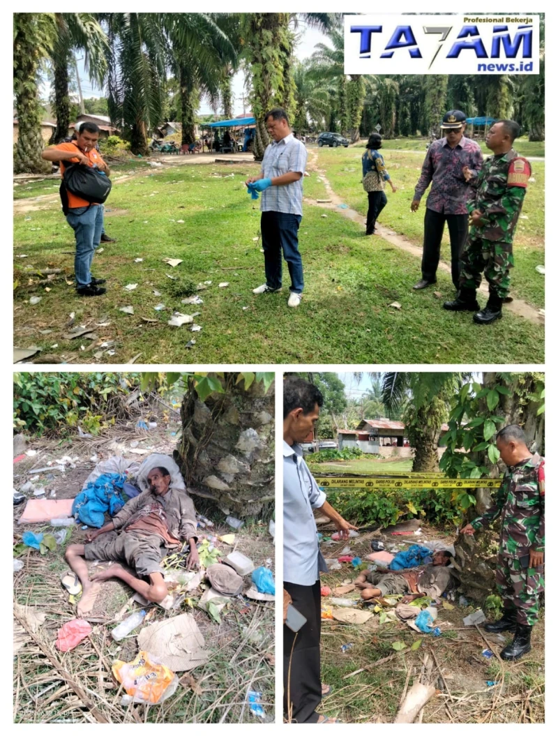 Geger! Jenazah Mr. X Ditemukan Di Areal Perkebunan PTPN4 Bahjambi. - TajamNews