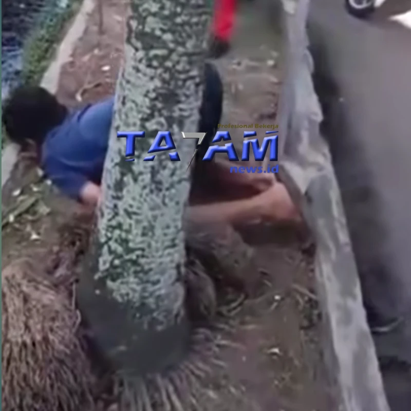 Di Duga kenaSerangan Jantung, Warga Jalan Jambu V, Meninggal di Trotoar Jalan Asahan - www.tajamnews.co.id