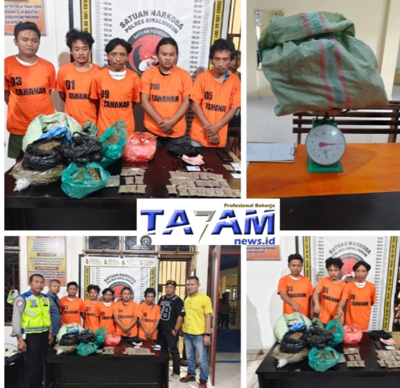 Polres Simalungun Sukses Bongkar Sindikat Narkoba 2,5 Kg di Kawasan Wisata Danau Toba, Lima Pelaku Diringkus - TajamNews