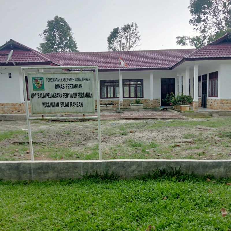 Kepala Pertanian Silou Kahean Bongkar Data Gapoktan yang Tidak Beres - TajamNews