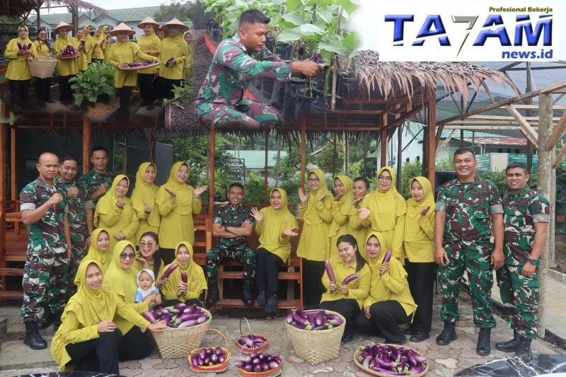 Inovatif Pemanfaatan Lahan! Yonif 122/TS dan Persit Panen Hasil Kebun Modern Dan Toga Yonif 122/TS - TajamNews