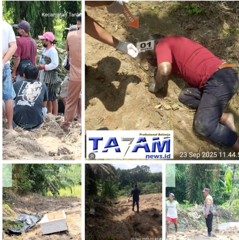 Kembali Polsek Tanah Jawa Evakuasi Penemuan Mayat Lansia di Perladangan Simalungun - TajamNews