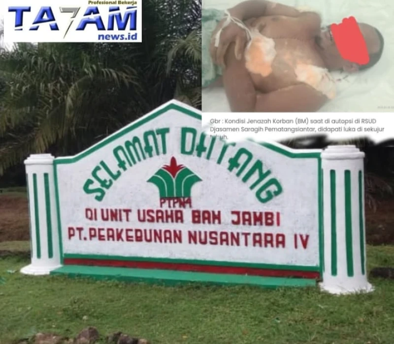 Sudah Di BAP Polisi : Pelaku Dugaan Pembunuhan Di PTPN4 Bahjambi Masih Berkeliaran. Pukulan Mendalam Bagi Keluarga! - TajamNews