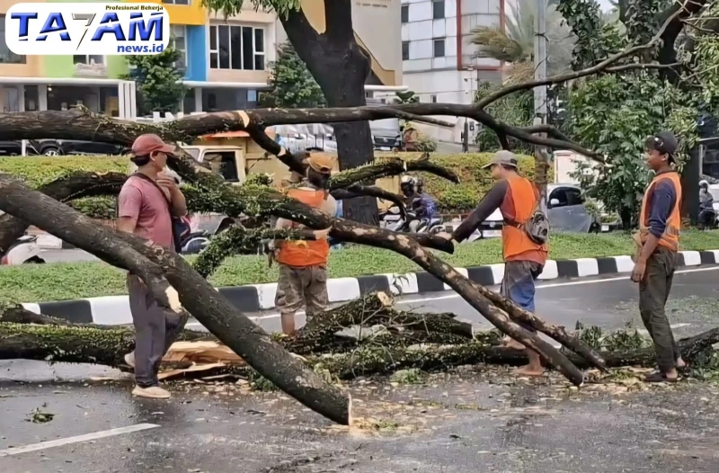 Hujan dan Angin Kencang Bongkar Titik Rawan di Tangsel: Siapa Bertanggung Jawab? - TajamNews