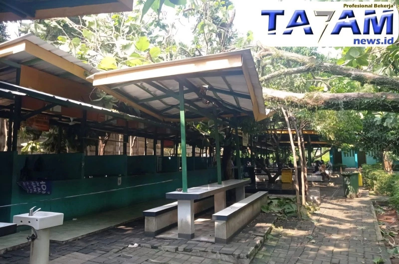 Robohnya Pohon di Sekolah Soebono Mantofani: Lengahnya Mitigasi Menyebabkan Lemahnya Pedagang - TajamNews
