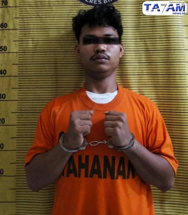 Modus Baru Pengedar Sabu di Binjai: Simpan Barang Haram Dalam Bola Lampu agar aksinya lancar - TajamNews