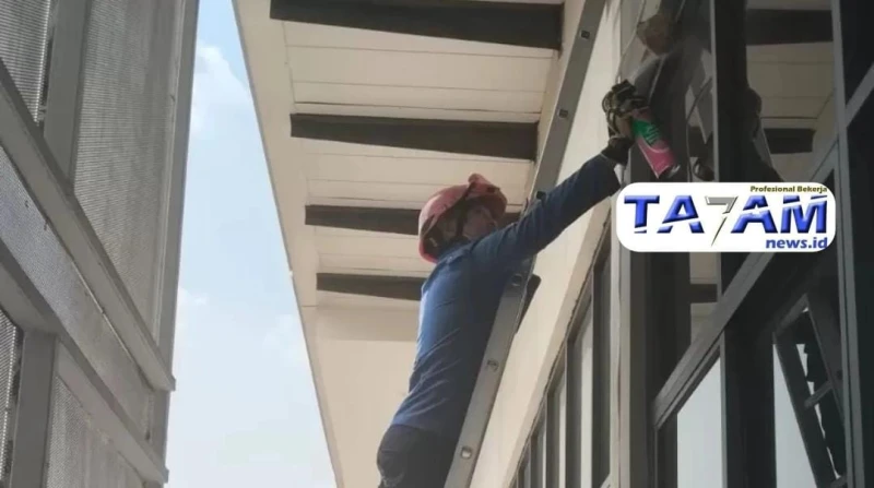 Ular, Tawon dan Meluasnya Tanggung Jawab: Potret 203 Penyelamatan Damkar Tangsel Sepanjang 2025 - TajamNews