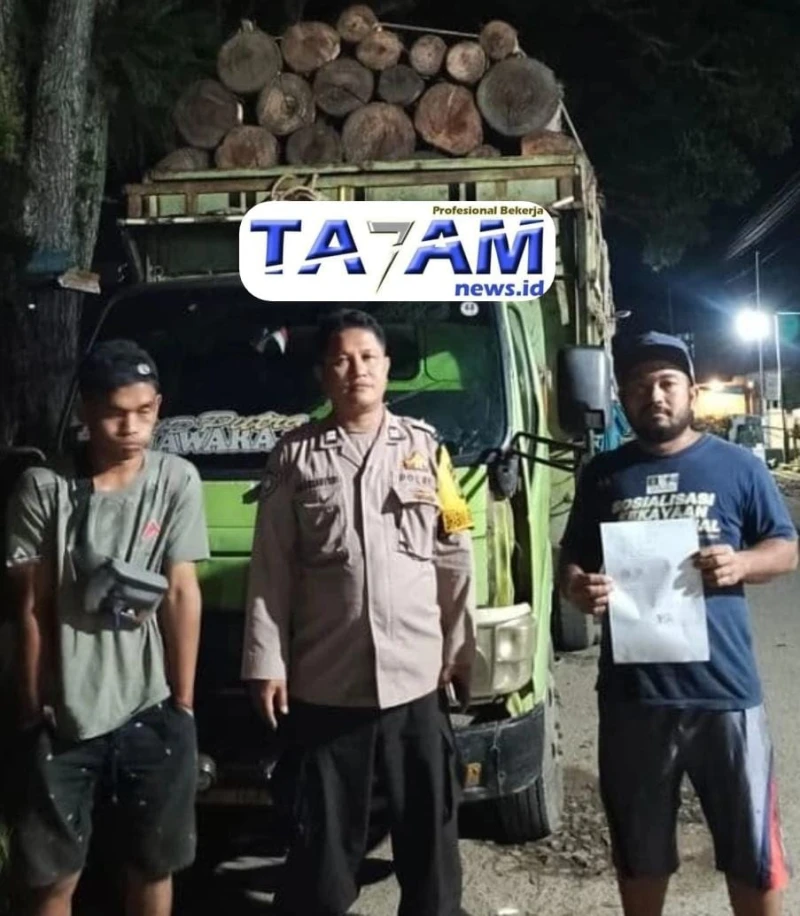 Warga Serahkan Truk Kayu Ilegal: Polisi Diminta Usut Jaringan Penebang Liar - TajamNews