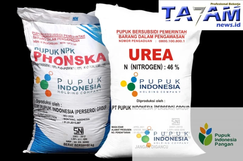 Kontroversi : Harga Pupuk Subsidi Turun, Pemilik Kios Meringis. KP3 Dan Kejati Sumut Diduga Tutup Mata. - TajamNews