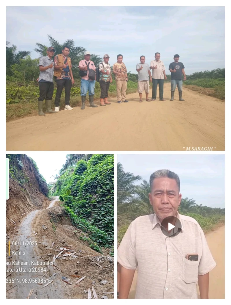 Reaksi cepat : Management PT PN IV Regional 1 Kebun Silau Dunia Tinjau Jalan Warga Yang Akan Diperbaiki - TajamNews