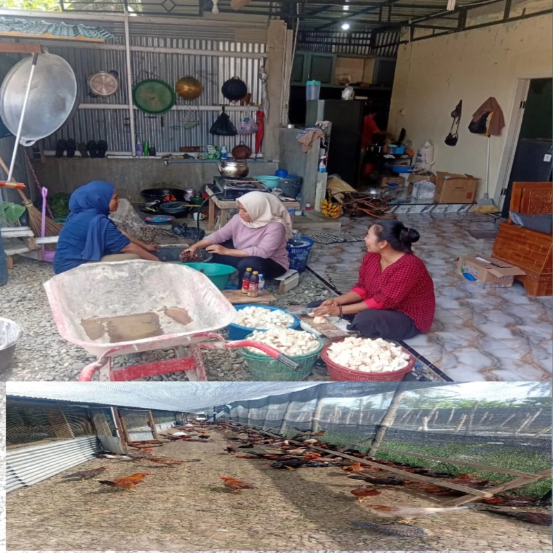 Langkah Nyata Bos Mafrizal Dorong Kemandirian Ekonomi Lewat Ternak Ayam Kampung - TajamNews