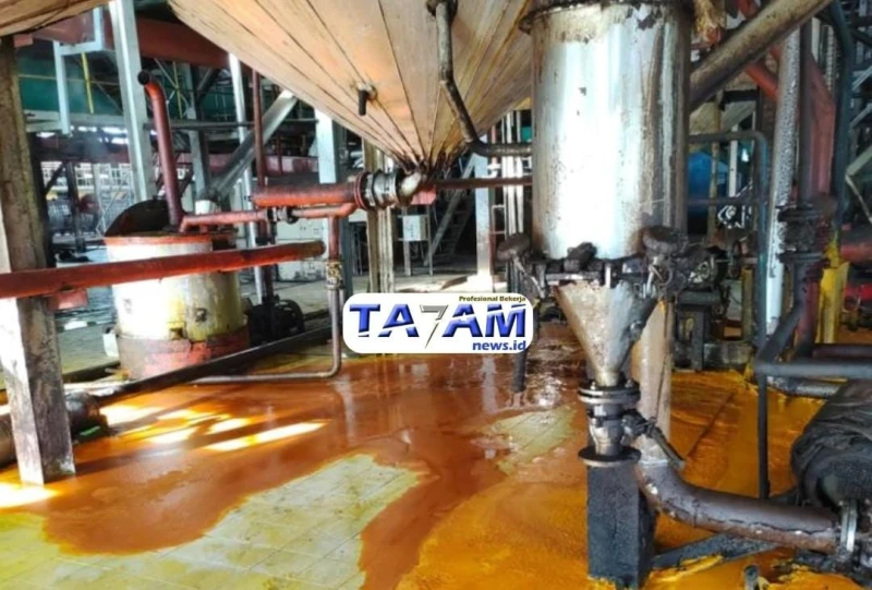 PTPN IV Adolina Berikan Penjelasan Terkait Tumpahan 4 Ton Minyak Sawit Pencemar Parit - TajamNews