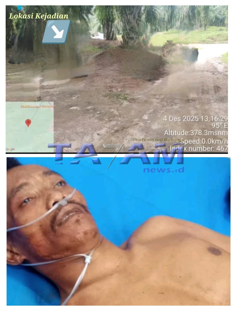Diduga Berniat Cuci Selongsong Dan Bertindak Arogan, ’Kepala Rudianto’ Jadi Sasaran Peluru Dikebun PTPN4 Marihat - TajamNews