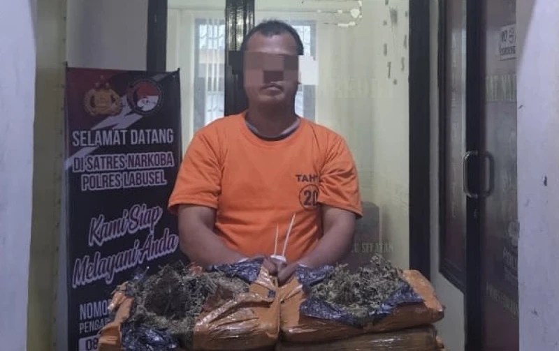 Kejar-kejaran Dramatis di Kota Pinang: Satresnarkoba Polres Labusel Gagalkan Penyelundupan 26 Kg Ganja - TajamNews