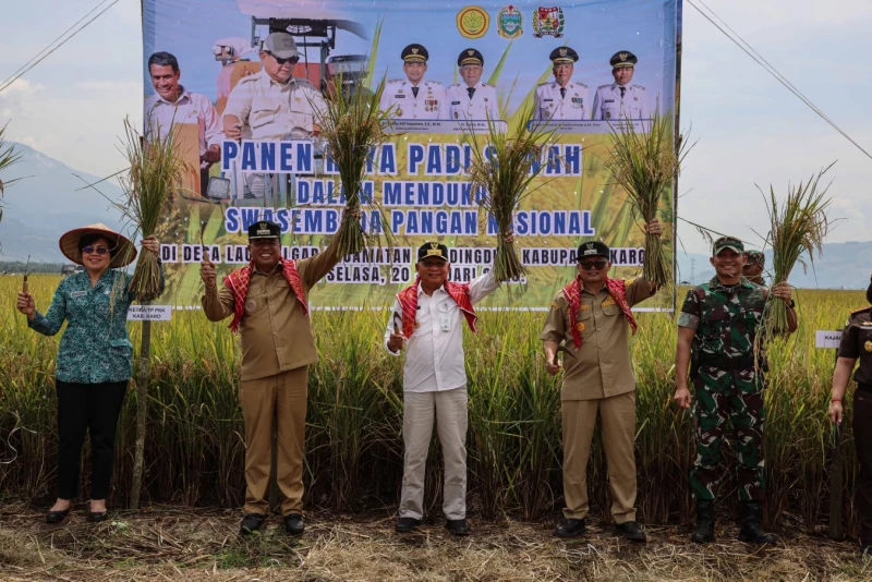 Wagub Sumut H Surya Tegaskan Pemerintah Tidak Biarkan Petani Berjalan Sendiri pada Panen Raya Padi di Kabupaten Karo - TajamNews
