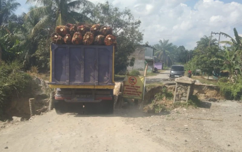 Tidak Kunjung Diperbaiki, Jembatan Tambak Kulim Akhirnya Memakan Korban Jiwa - TajamNews