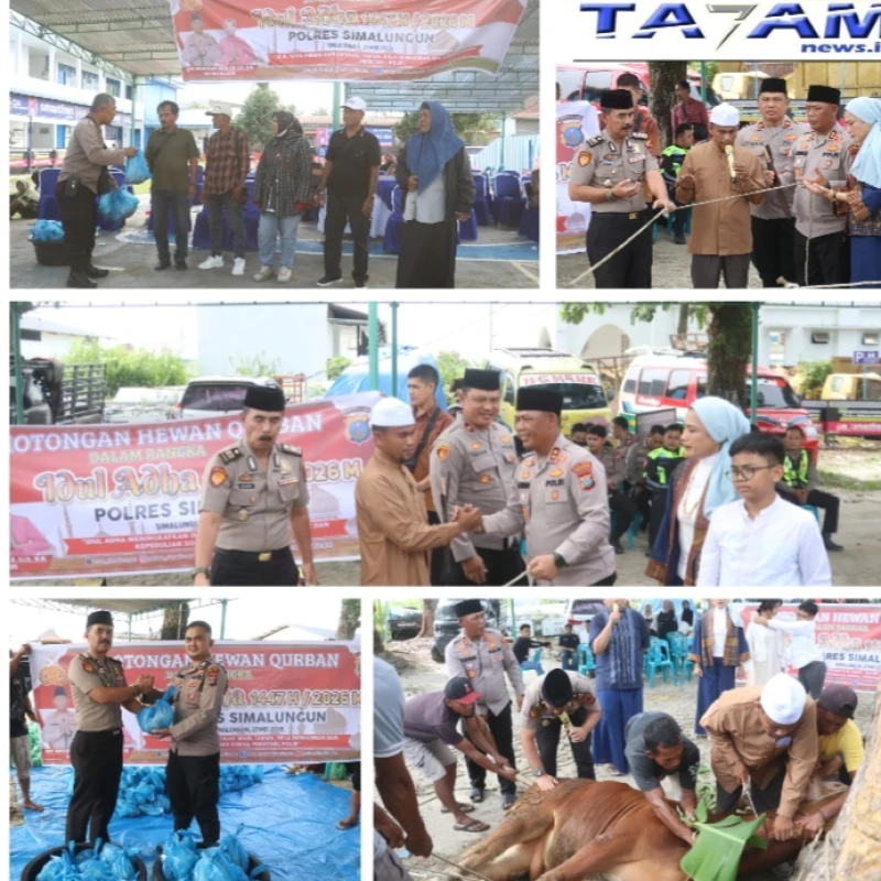 Polres Simalungun Sembelih 12 Ekor Sapi dan 13 Kambing, 1.200 Paket Daging Qurban Dibagikan kepada Masyarakat - TajamNews