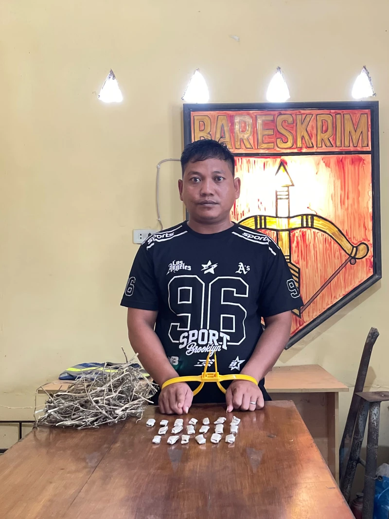 Operasi Senyap Polsek Bosar Maligas: Tangkap Pengedar Narkotika dengan 19 Paket Ganja Siap Edar - TajamNews