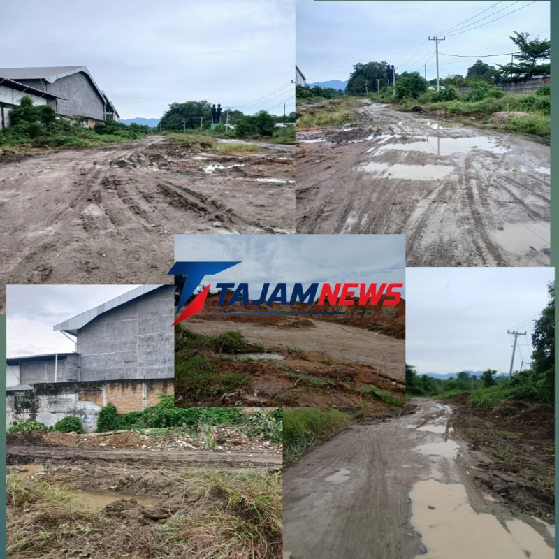 Warga Ring Road Tanjung Tongah Keluhkan Aktivitas Diduga Galian C, Jalan Jadi Kubangan hingga Warga Terjatuh - TajamNews
