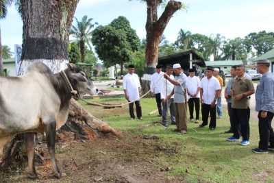 Dandim 0207/Simalungun Letkol Inf Slamet Faojan, M.Han. Serahkan Hewan Qurban Kepada Keluarga Besar Kodim 0207/Simalungun - www.tajamnews.co.id