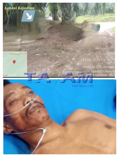 Diduga Berniat Cuci Selongsong Dan Bertindak Arogan, ’Kepala Rudianto’ Jadi Sasaran Peluru Dikebun PTPN4 Marihat - www.tajamnews.co.id