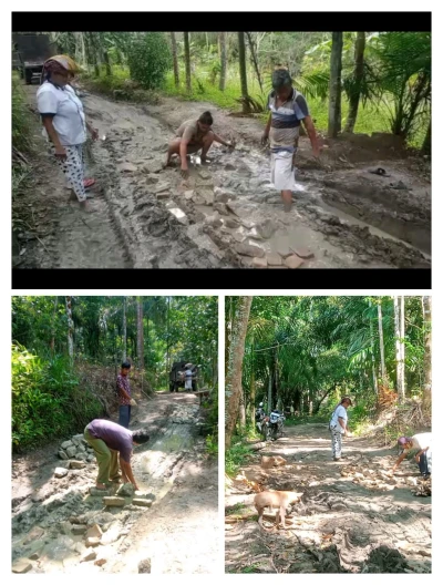 *Warga Dusun Siarbat Kompak Gotong Royong Timbun Jalan Berlumpur Demi Kelancaran Hasil Pertanian* - www.tajamnews.co.id